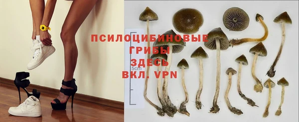 дурь Магадан