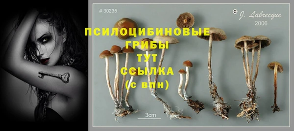 MESCALINE Медногорск