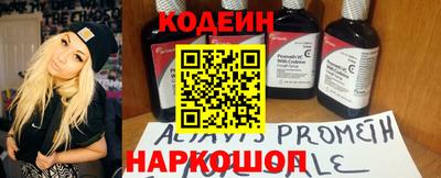 индика Гусев