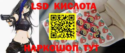 индика Гусев