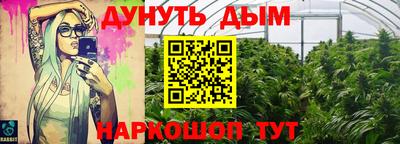 индика Гусев