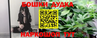 индика Гусев
