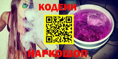 индика Гусев