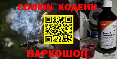 индика Гусев