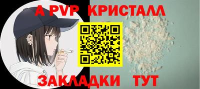 индика Гусев