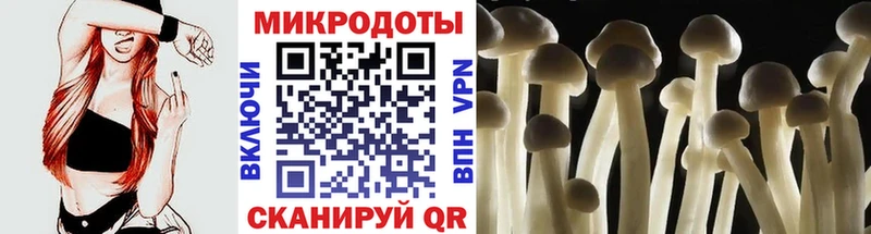 mega зеркало  Татарск  Псилоцибиновые грибы прущие грибы 